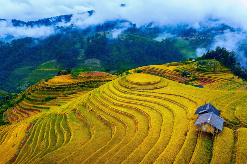 Mù Cang Chải mùa lúa chín đi tháng mấy, ngắm ở đâu đẹp nhất? 