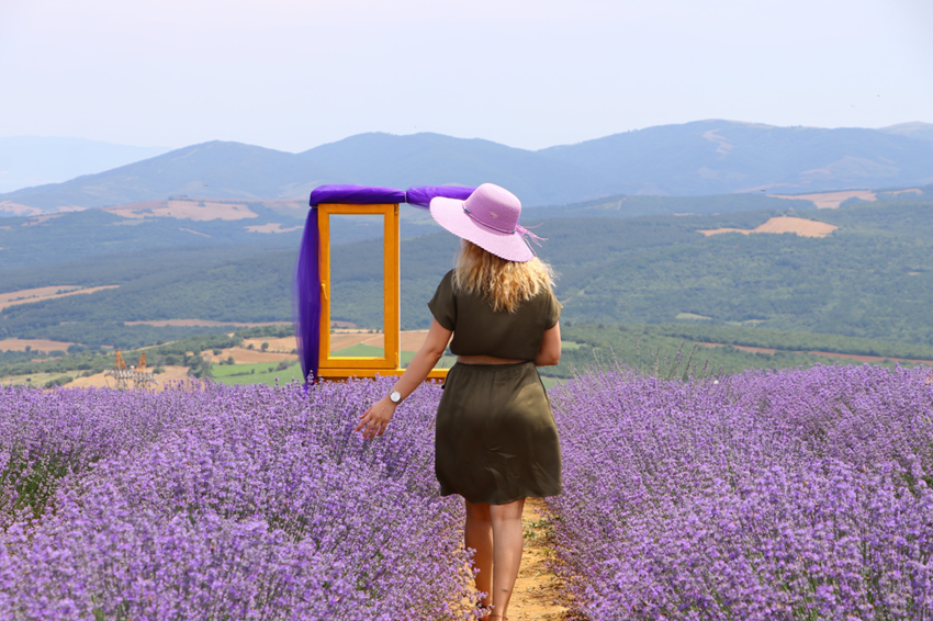 Mùa hoa lavender Thổ Nhĩ Kỳ 2026 - Sắc tím ít ai biết ngoài Cappadocia