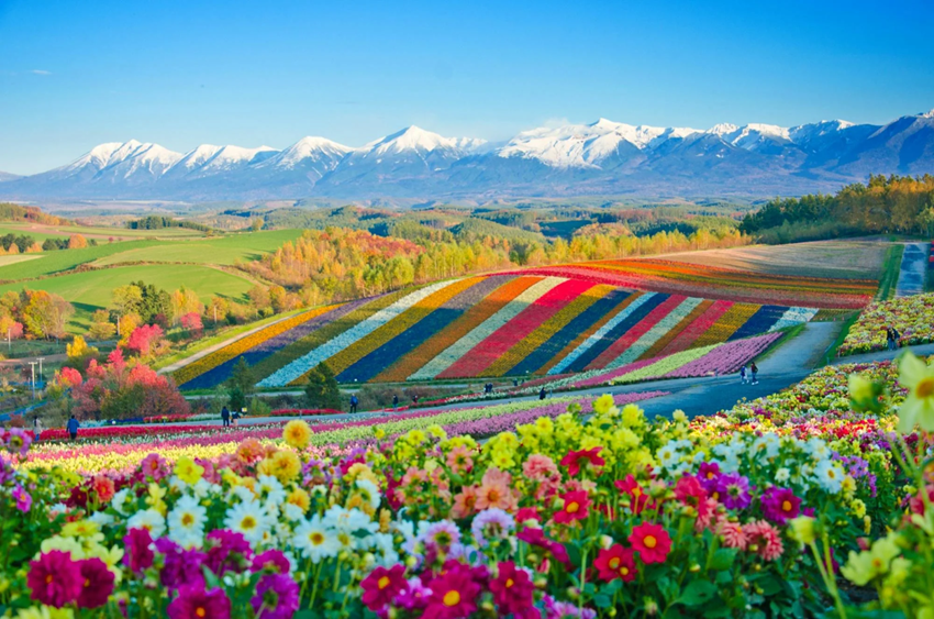 Du lịch Hokkaido: Khám phá “một Nhật Bản rất khác” 