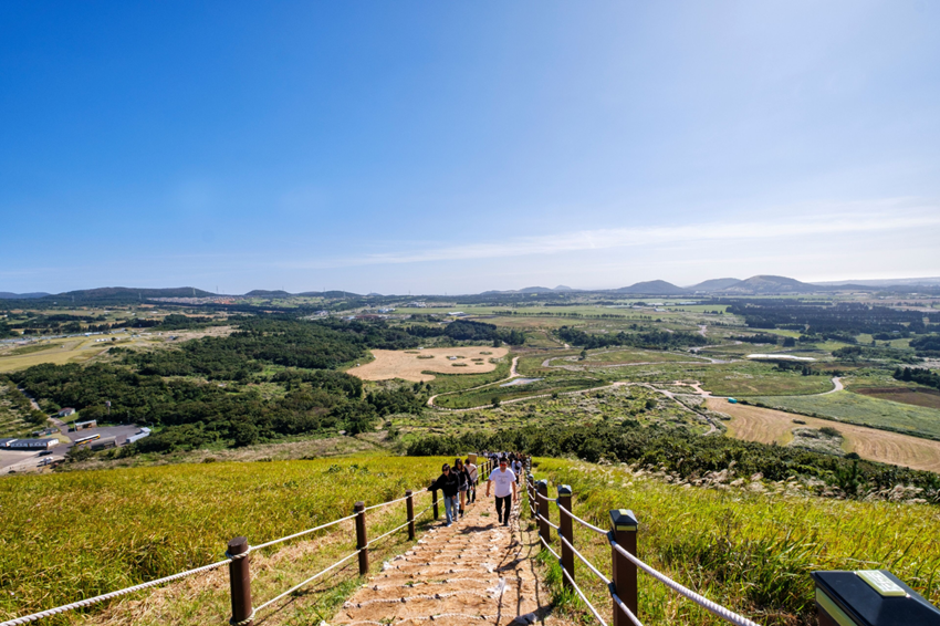 Jeju mùa thu 2026 có gì đẹp ngoài cỏ lau và biển xanh?