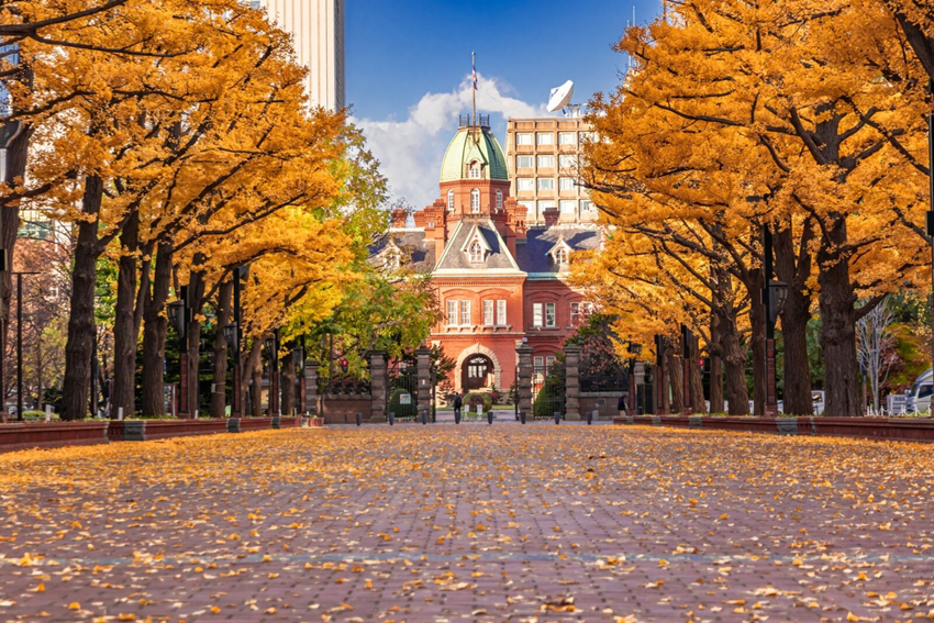 Chi phí du lịch Hokkaido mùa thu - Cẩm nang tiết kiệm khi du lịch mùa cao điểm