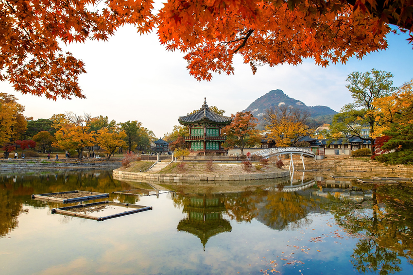 Seoul Mùa Thu – Khi Cung Điện Gyeongbokgung Rợp Sắc Lá Đỏ