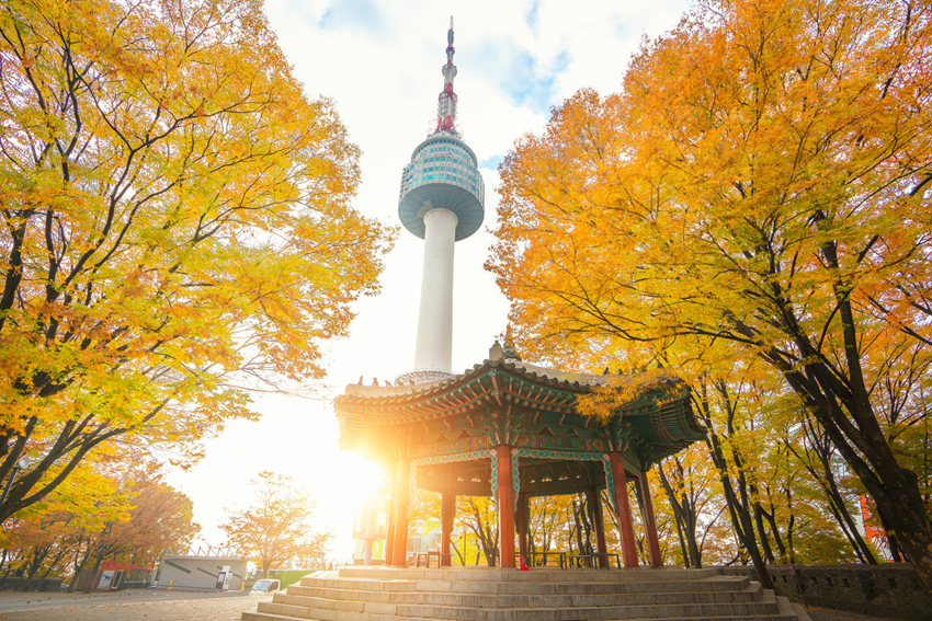 Du lịch Seoul mùa thu: Công viên Namsan – Ngắm tháp N Seoul giữa trời thu lãng mạn
