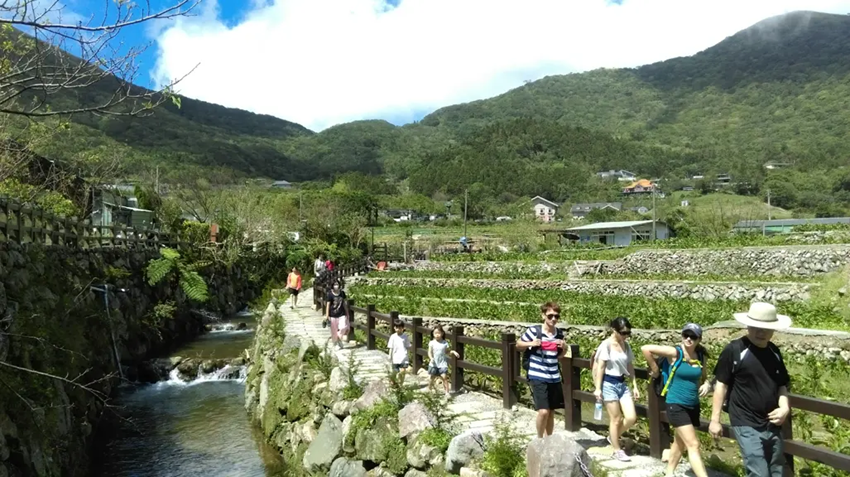 Mùa hoa loa kèn Đài Loan có đông không? Cẩm nang du lịch Đài Loan 2026 