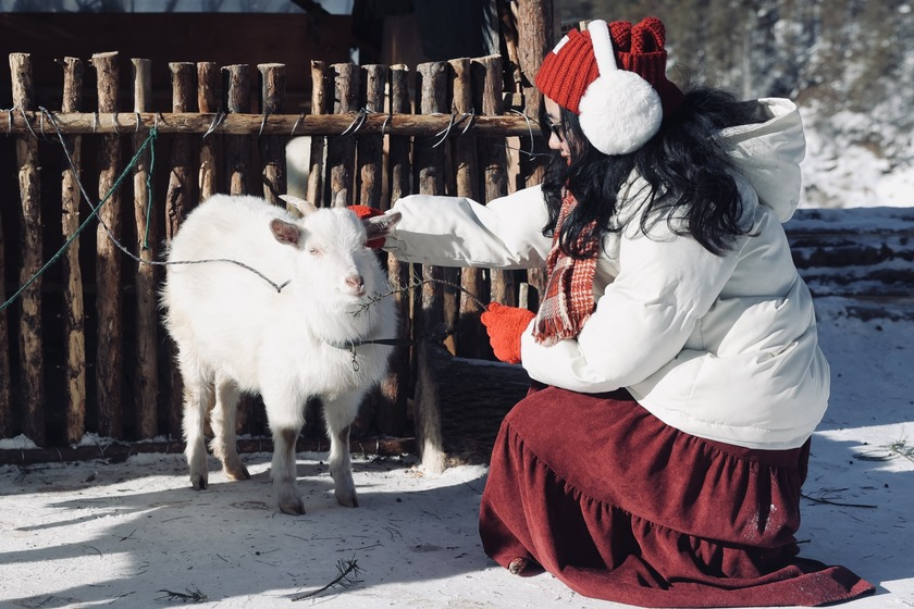 Du Lịch Cáp Nhĩ Tân | Khám Phá Công Viên Hổ Siberia Harbin Mùa Đông 2025