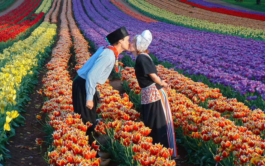Lễ Hội Hoa Tulip Keukenhof Hà Lan Chỉ Còn 28 Ngày! Đừng Bỏ Lỡ